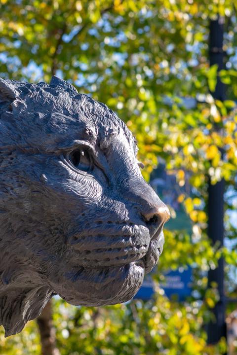 UNH Wildcat statue for decoration only
