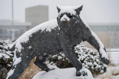 下雪天的UNH野猫雕像.