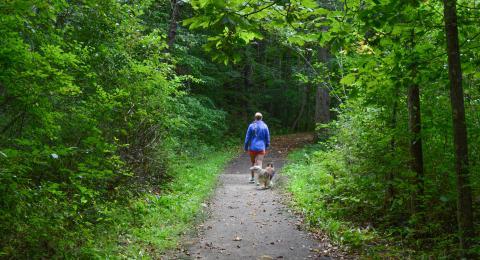 woman walking in College Woods with her dog 