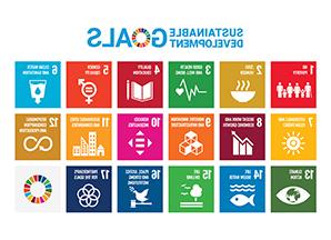 联合国可持续发展目标图标图