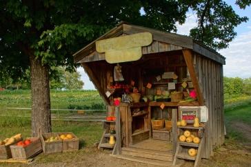 A photo of a farmers' stand, which is an example of an alternative food network