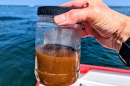 一只手拿着一个透明的罐子，里面装着半瓶棕色的水，背景是海洋.